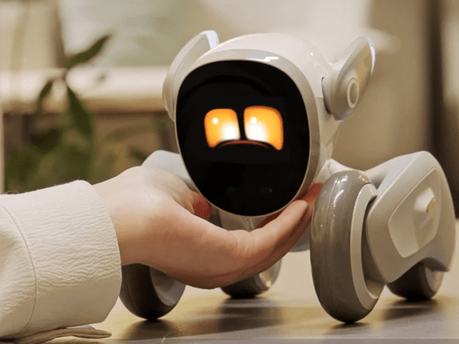 Loona: Türkiye’nin İlk 1. Yapay Zeka Robot Köpeği